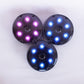 KIT TRAINLIGHT PRO 3 - 15% OFF